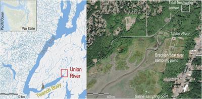 Seasonal Changes in the Drivers of Water Physico-Chemistry Variability of a Small Freshwater Tidal River